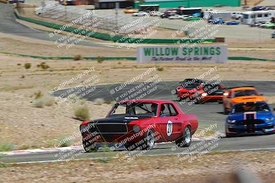 media/May-07-2022-Cobra Owners Club of America (Sat) [[e681d2ddb7]]/Blue/Session 3 (Turn 3)/